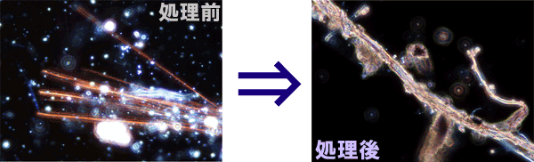 �������ˤ��ɽ�̴ѻ��̿�