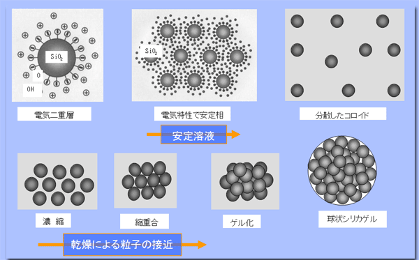 ���������륷�ꥫ��ʬ���դ��饲�벽��